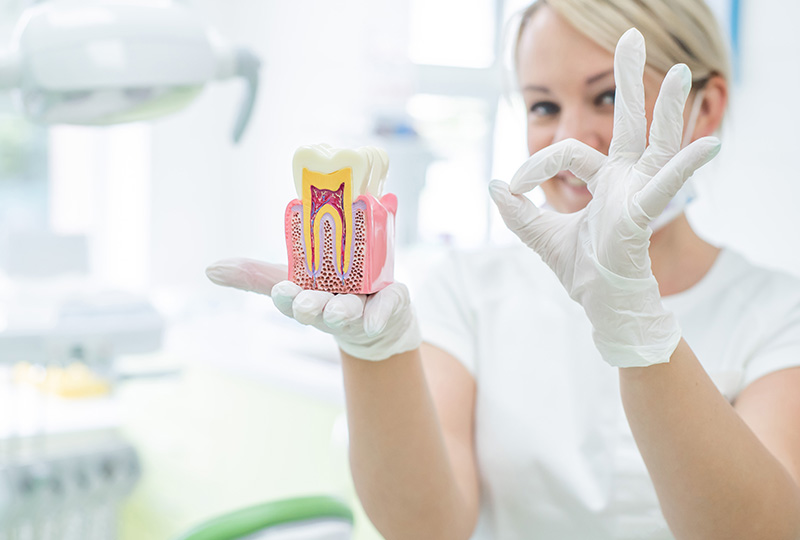 Platinum Endodontics | Endodontic Retreatment, Emergency Treatment and Traumatic Injuries