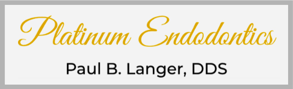 The image displays a logo with the text  Company Name  and below it, the phrase  SUBTITLE HERE.  It features a stylized graphic resembling an abstract shape or explosion in shades of gold and black.